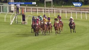 Video preview image for Kempton Park 16:50 - Matchbook Vip Handicap Hurdle (4)