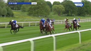 Video preview image for York 14:20 - Sky Bet First Race Special Jorvik Handicap (2)