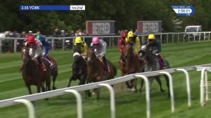 Video preview image for York 14:55 - Betfred Middleton Stakes (Group 2) (1)