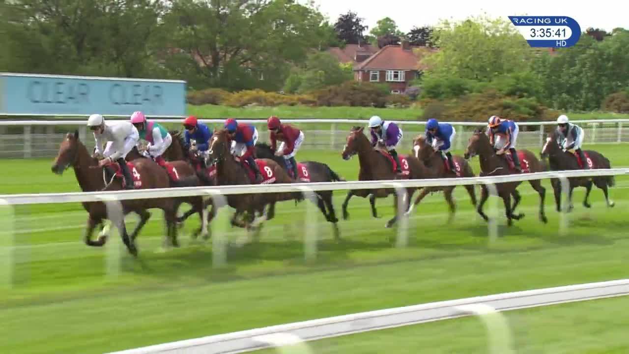 Dante Roaring Lion scorches to victory at York to set up Derby dilemma