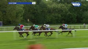 Video preview image for York 14:55 - Longines Irish Champions Weekend Fillies' Stakes (Listed) (1)