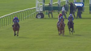 Video preview image for Newmarket 16:55 - Federation Of Bloodstock Agents Handicap (3)
