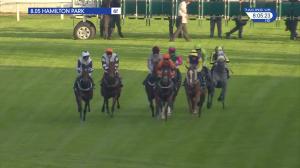 Video preview image for Hamilton Park 20:05 - William Wallace Handicap (4)