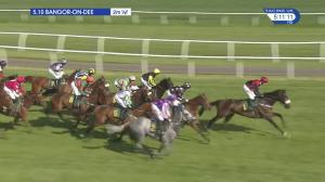 Video preview image for Bangor-On-Dee 17:10 - Goldford Stud Mares' Standard Open National Hunt Flat (5)