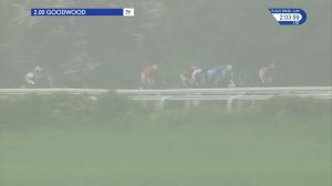 Video preview image for Goodwood 14:00 - South Downs Water Handicap (2)