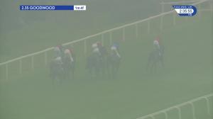 Video preview image for Goodwood 14:35 - EBF "Breeders Series" Fillies' Handicap (3)