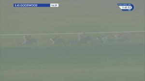 Video preview image for Goodwood 15:45 - netbet.co.uk Height Of Fashion Stakes (Listed) (1)
