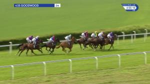 Video preview image for Goodwood 16:55 - thamesmaterials.com Handicap (4)