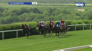 Video preview image for Goodwood 13:55 - Netbet Mobile Bet10get10 Festival Stakes (Listed) (1)