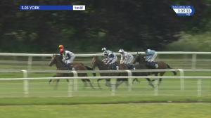 Video preview image for York 15:05 - Al Basti Equiworld Dubai Bronte Cup Fillies' Stakes (Group 3) (1)