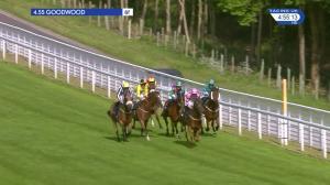 Video preview image for Goodwood 16:55 - Flying At Goodwood Veterans' Handicap (4)