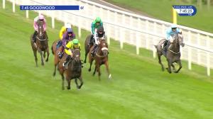 Video preview image for Goodwood 19:45 - Fabco Sanctuary/British EBF Fillies Stakes (Handicap) (3)