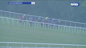 Video preview image for Goodwood 20:50 - Rudimental Confined Fillies' Novice Stakes (5)