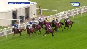 Video preview image for Sandown Park 18:25 - smarkets.com Young Stayers Handicap (4)