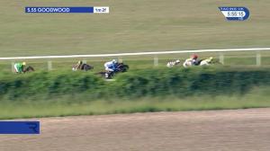 Video preview image for Goodwood 17:55 - Nottingham Label Company Apprentice Handicap (5)