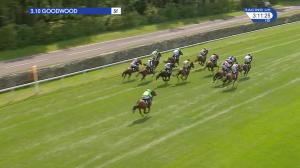 Video preview image for Goodwood 15:10 - Sutton Winson Backing The NSPCC Selling Stakes (3)