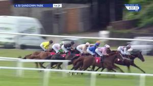 Video preview image for Sandown Park 16:50 - Beck Handicap (4)
