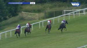 Video preview image for Goodwood 19:10 - Clemtech 20th Anniversary Handicap (3)