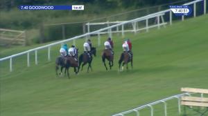Video preview image for Goodwood 19:40 - Sir Eric Parker Memorial Fillies' Handicap (4)