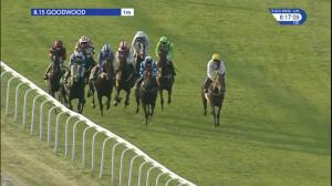 Video preview image for Goodwood 20:15 - Netbet Best Odds Guaranteed Handicap (4)