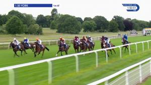 Video preview image for York 13:50 - Queen Mother's Cup Handicap (Lady Amateur Riders) (3)