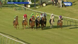 Video preview image for Ayr 20:45 - Am Partners Card Handicap (5)