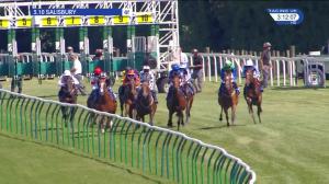 Video preview image for Salisbury 15:10 - New Forest Farm MacHinery/john Deere Auction Stakes (3)
