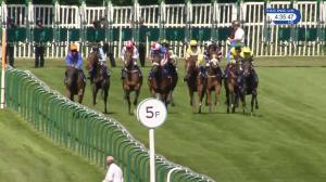 Video preview image for Nottingham 16:35 - Roa/Racing Post Owners' Jackpot Handicap (4)