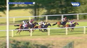 Video preview image for Hamilton Park 20:10 - British Stallion Studs Captain J C Stewart EBF Fillies' Handicap (4)