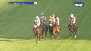 Video preview image for Hamilton Park 20:40 - Patersons Of Greenoakhill Handicap (4)