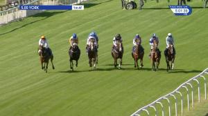Video preview image for York 17:00 - sunbets.co.uk World Cup Betting Apprentice Handicap (3)