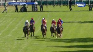 Video preview image for Hamilton Park 15:15 - racinguk.com Confined Novice Stakes (5)