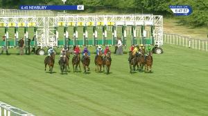 Video preview image for Newbury 18:45 - Pinkster Gin Novice Stakes (4)