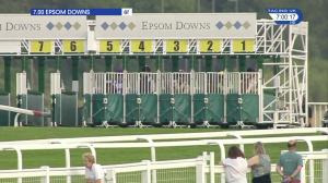 Video preview image for Epsom Downs 19:00 - Federation Of Bloodstock Agents Handicap (3)