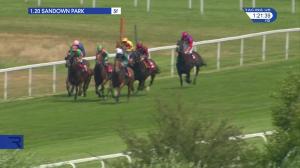 Video preview image for Sandown Park 13:20 - London Insurance Day Handicap (3)