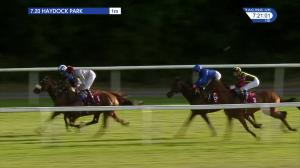 Video preview image for Haydock Park 19:20 - Betfred Watch Sky Sports In Our Shops "Confined" Novice Stakes (5)