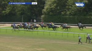 Video preview image for Haydock Park 13:45 - Bet365 Old Newton Cup Handicap (2)