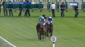 Video preview image for Haydock Park 14:20 - Bet365 Conditions Stakes (2)