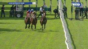 Video preview image for Haydock Park 15:30 - Bet365 Fillies' Handicap (2)