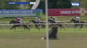 Video preview image for Ayr 14:00 - Holiday Homes To Own Or Rent Handicap (4)
