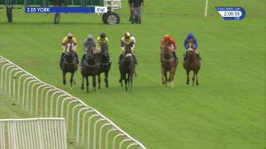 Video preview image for York 14:05 - Jigsaw Sports Branding British EBF Novice Stakes (3)