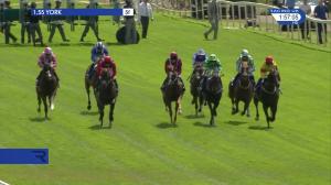 Video preview image for York 13:55 - John Smith's City Walls Stakes (Listed) (1)