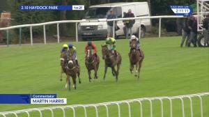 Video preview image for Haydock Park 14:10 - Roa/Racing Post Owners' Jackpot Handicap (5)
