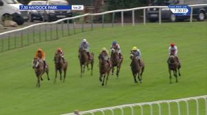 Video preview image for Haydock Park 19:30 - Steve Yarborough Memorial Handicap (5)