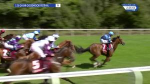 Video preview image for Goodwood 14:25 - Qatar Vintage Stakes (Group 2) (1)