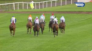 Video preview image for Perth 20:30 - Meikleour Beech Hedge Handicap Chase (4)