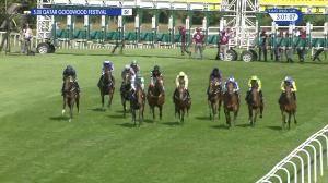 Video preview image for Goodwood 15:00 - Markel Insurance Molecomb Stakes (Group 3) (1)
