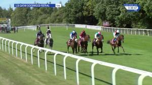 Video preview image for Goodwood 15:35 - Qatar Sussex Stakes (Group 1) (1)