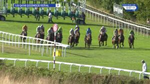 Video preview image for Goodwood 17:55 - Goodwood Racehorse Owners Group Handicap (3)