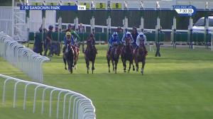 Video preview image for Sandown Park 19:30 - 188Bet Mobile Bet10 Get20 Handicap (3)